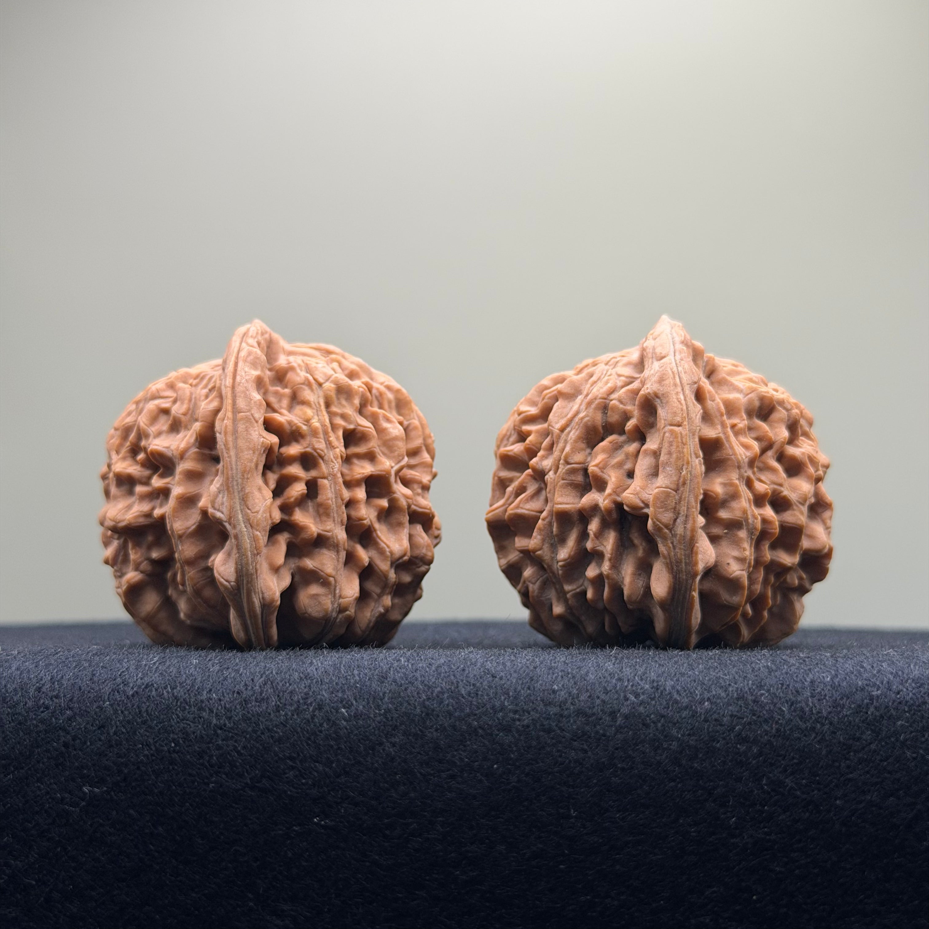Four Towers Wenwan Walnut · 42mm · Natural · Premium Ritual