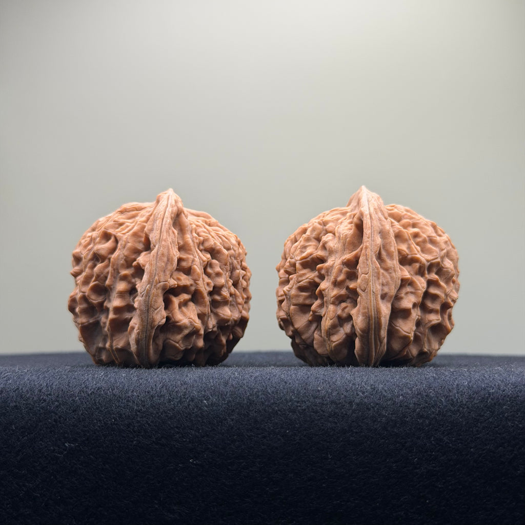 Four Towers Wenwan Walnut · 42mm · Natural · Premium Ritual