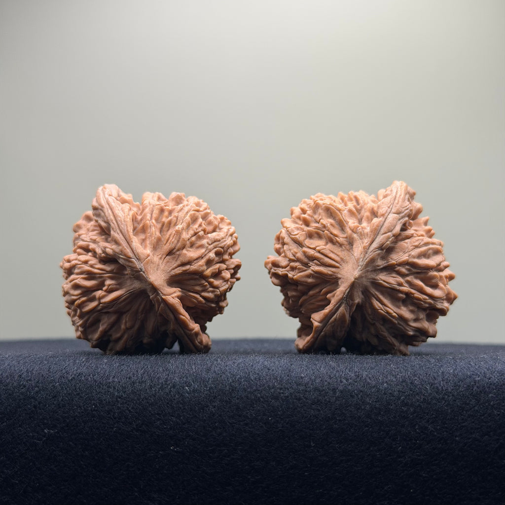 Four Towers Wenwan Walnut · 42mm · Natural · Premium Ritual