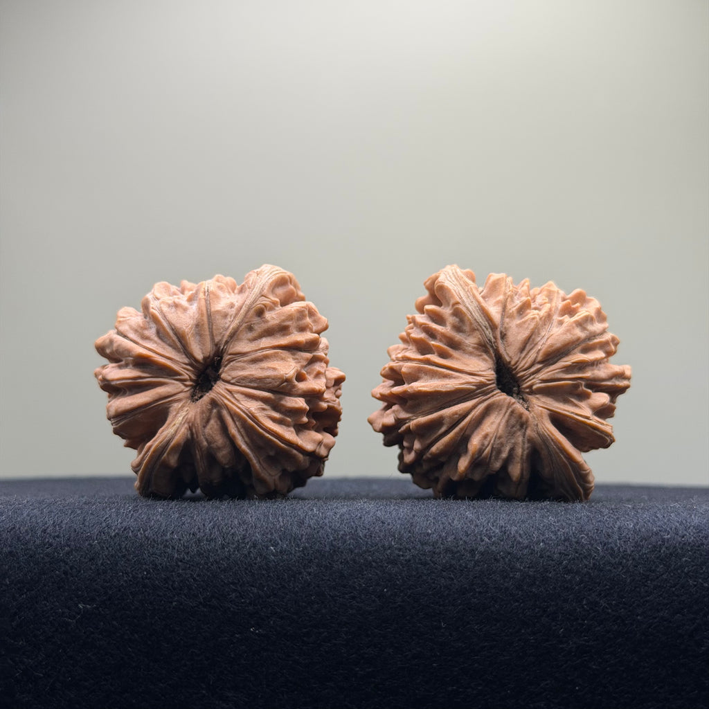Four Towers Wenwan Walnut · 42mm · Natural · Premium Ritual
