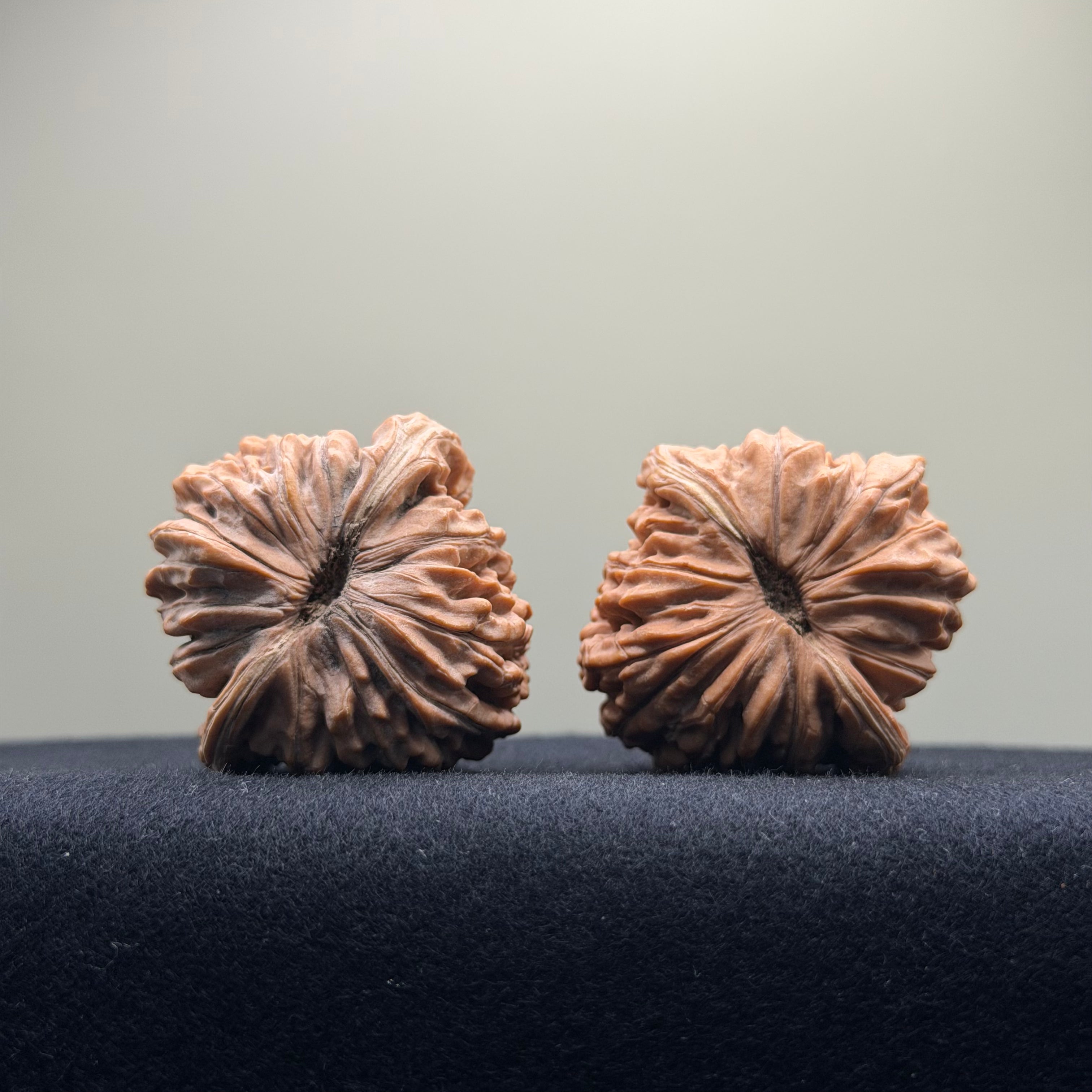 Four Towers Wenwan Walnut · 40mm · Natural · Premium Ritual
