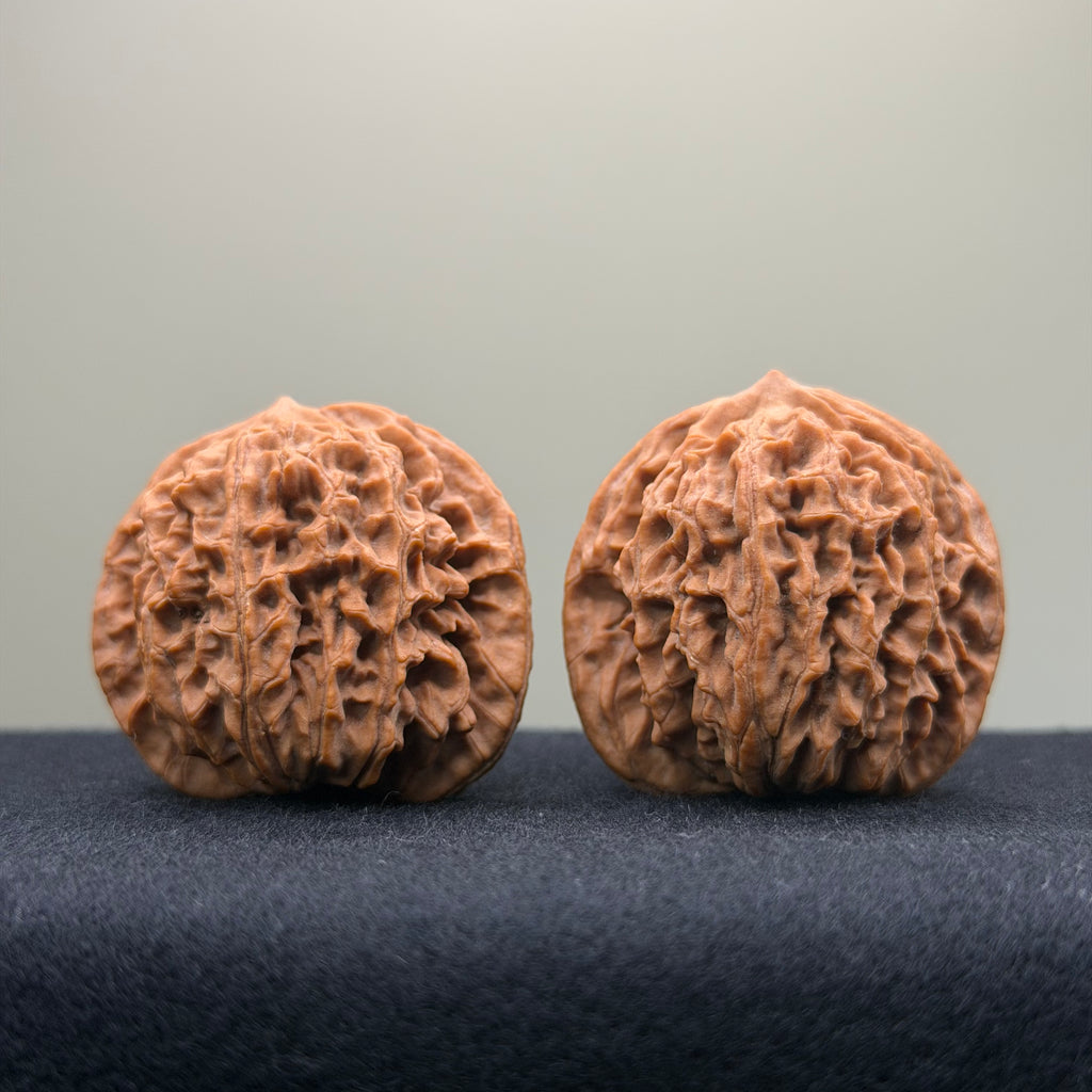 Coiled Dragon Pattern Wenwan Walnut · 39mm · Natural · Entry Ritual