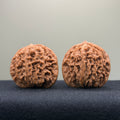 Coiled Dragon Pattern Wenwan Walnut · 39mm · Natural · Entry Ritual