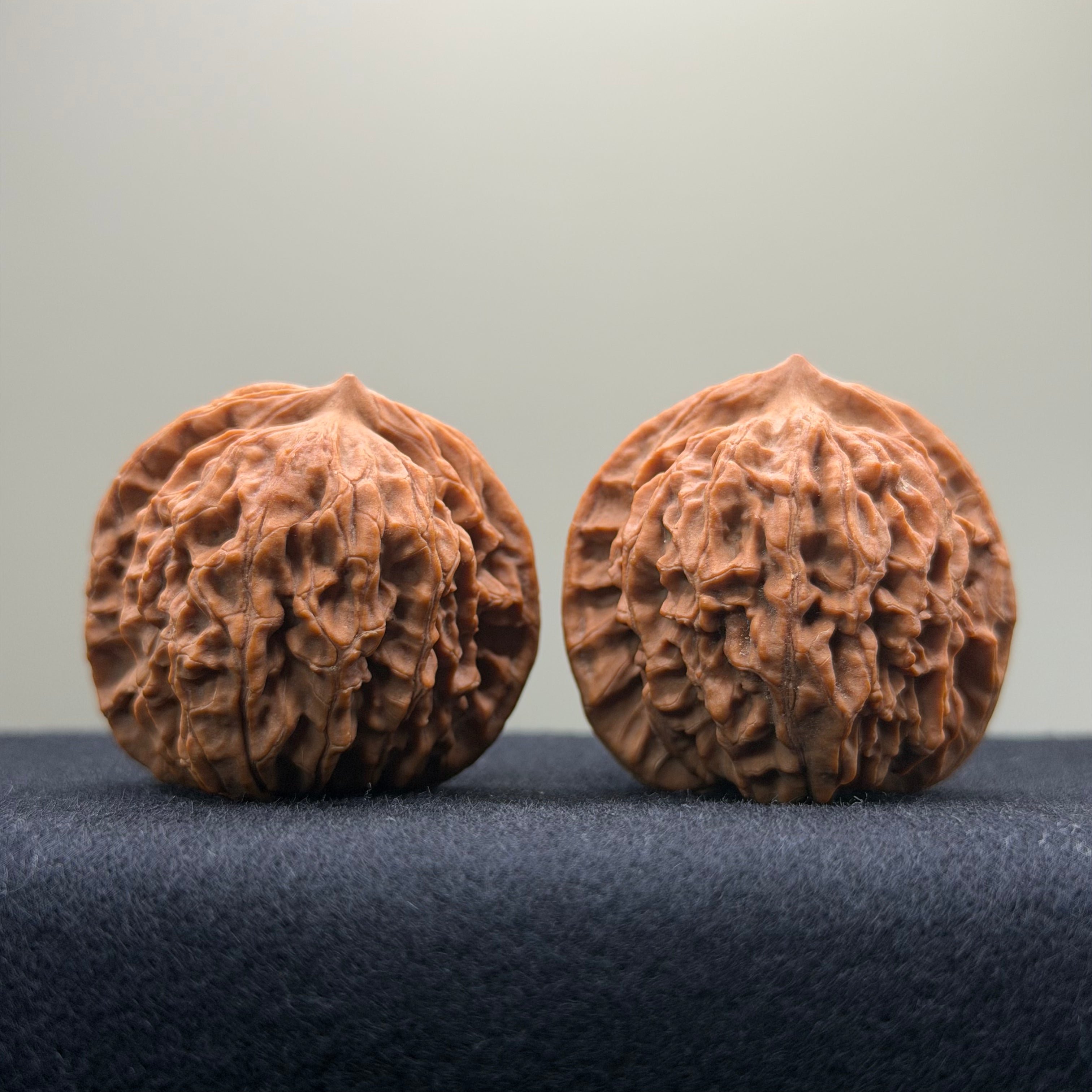 Coiled Dragon Pattern Wenwan Walnut · 39mm · Natural · Entry Ritual