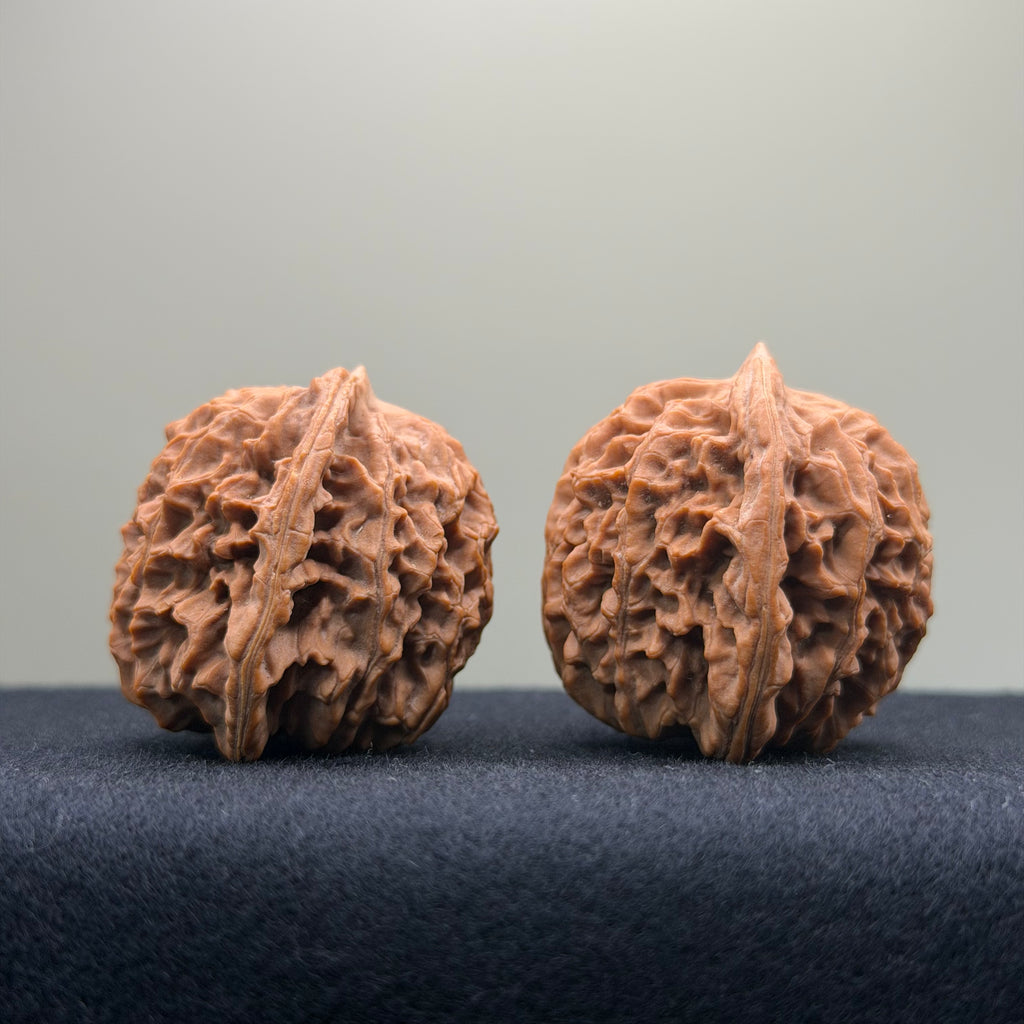Coiled Dragon Pattern Wenwan Walnut · 39mm · Natural · Entry Ritual