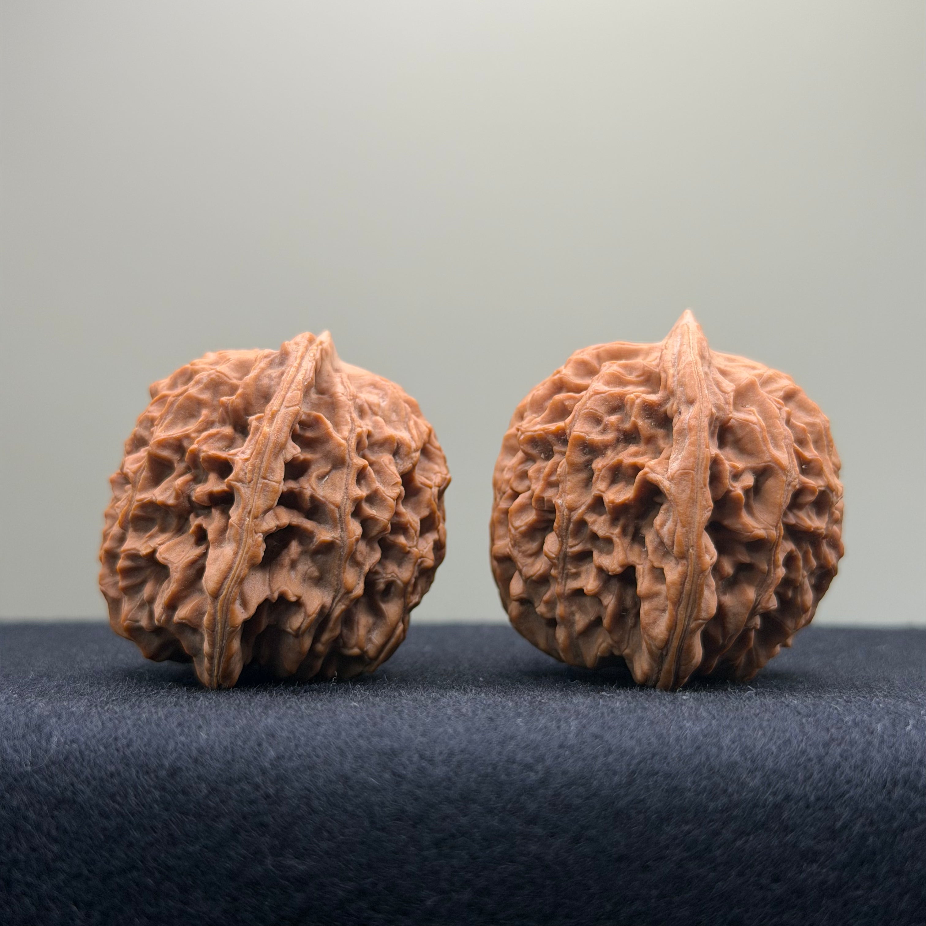Coiled Dragon Pattern Wenwan Walnut · 39mm · Natural · Entry Ritual