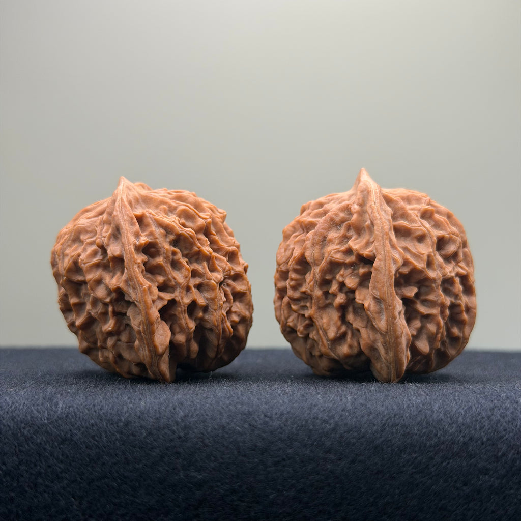 Coiled Dragon Pattern Wenwan Walnut · 39mm · Natural · Entry Ritual
