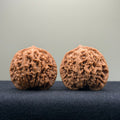 Coiled Dragon Pattern Wenwan Walnut · 39mm · Natural · Entry Ritual