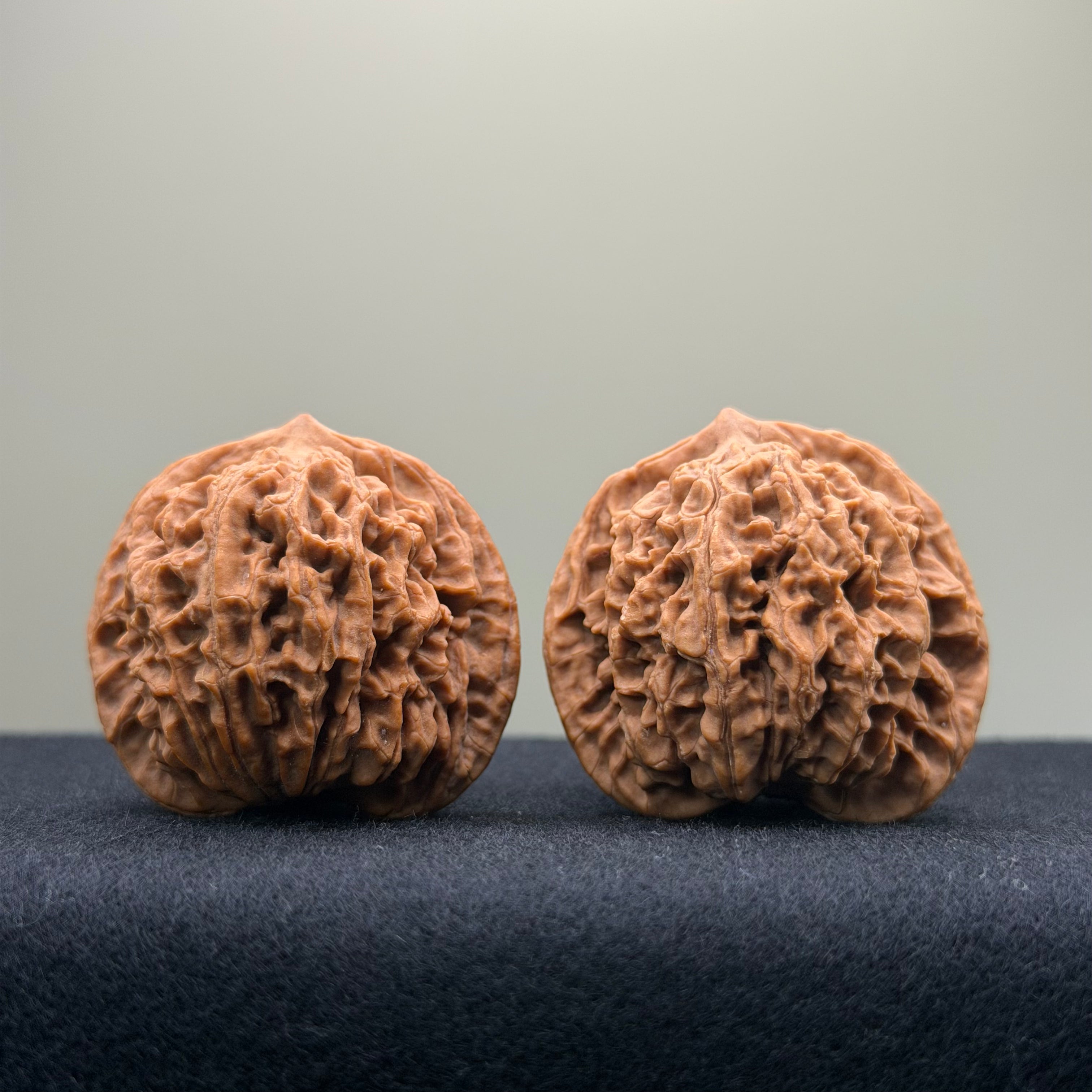 Coiled Dragon Pattern Wenwan Walnut · 39mm · Natural · Entry Ritual