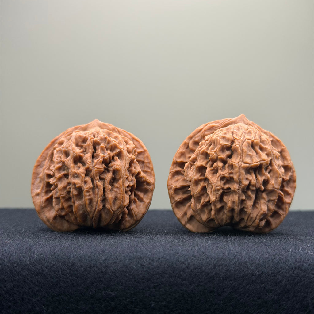 Coiled Dragon Pattern Wenwan Walnut · 39mm · Natural · Entry Ritual