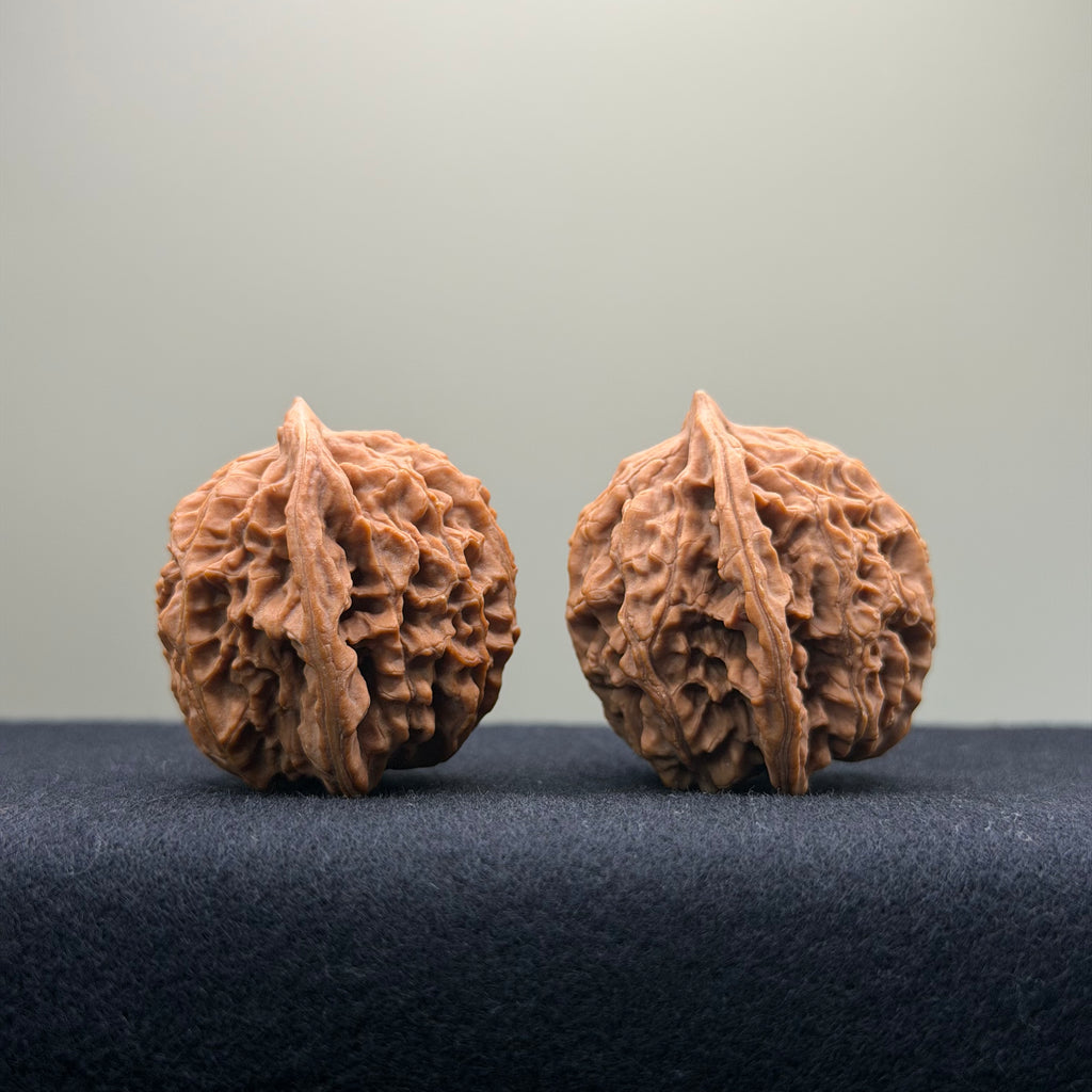 Coiled Dragon Pattern Wenwan Walnut · 39mm · Natural · Entry Ritual
