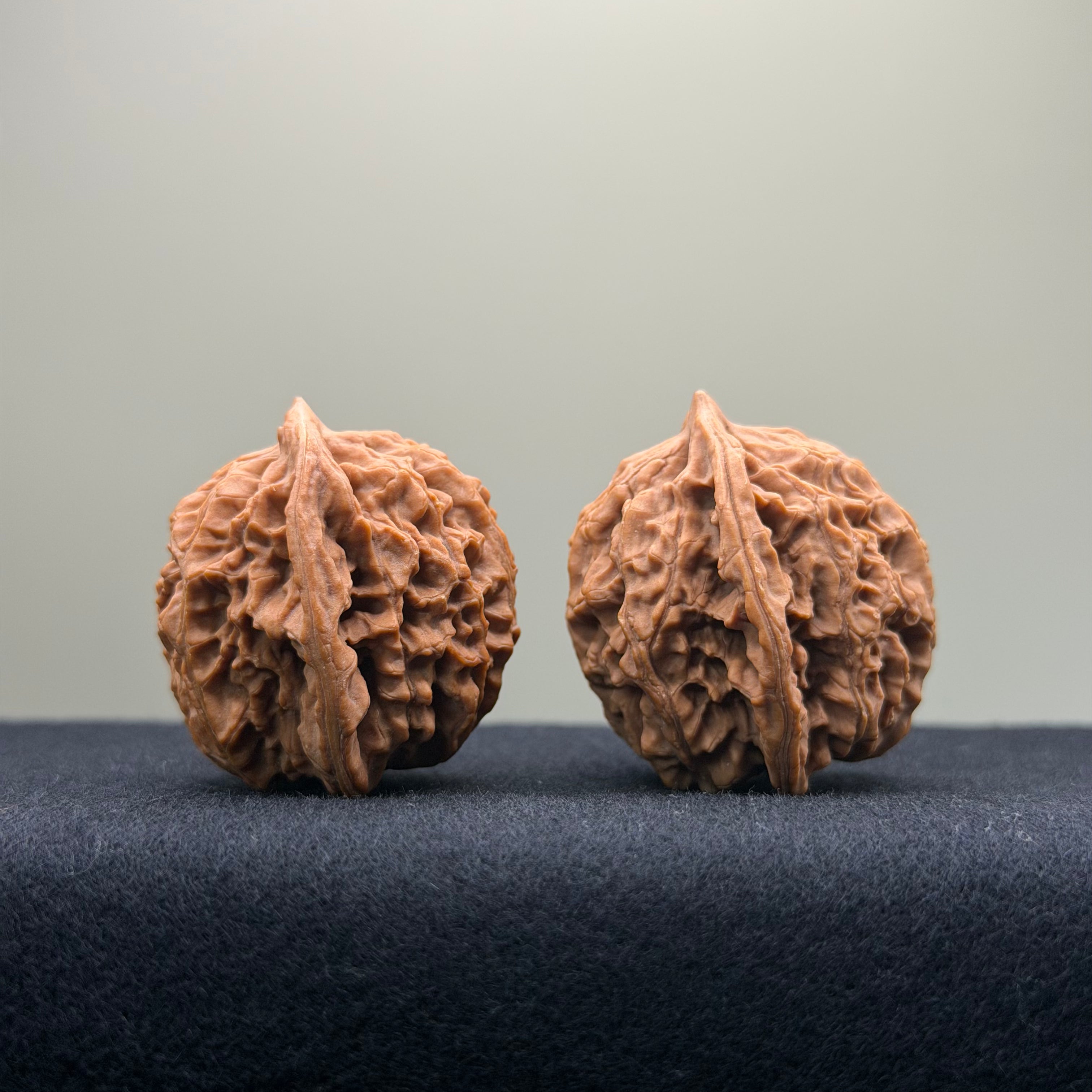 Coiled Dragon Pattern Wenwan Walnut · 39mm · Natural · Entry Ritual