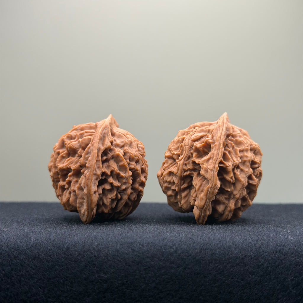 Coiled Dragon Pattern Wenwan Walnut · 39mm · Natural · Entry Ritual