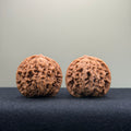 Coiled Dragon Pattern Wenwan Walnut · 37mm · Natural · Entry Ritual