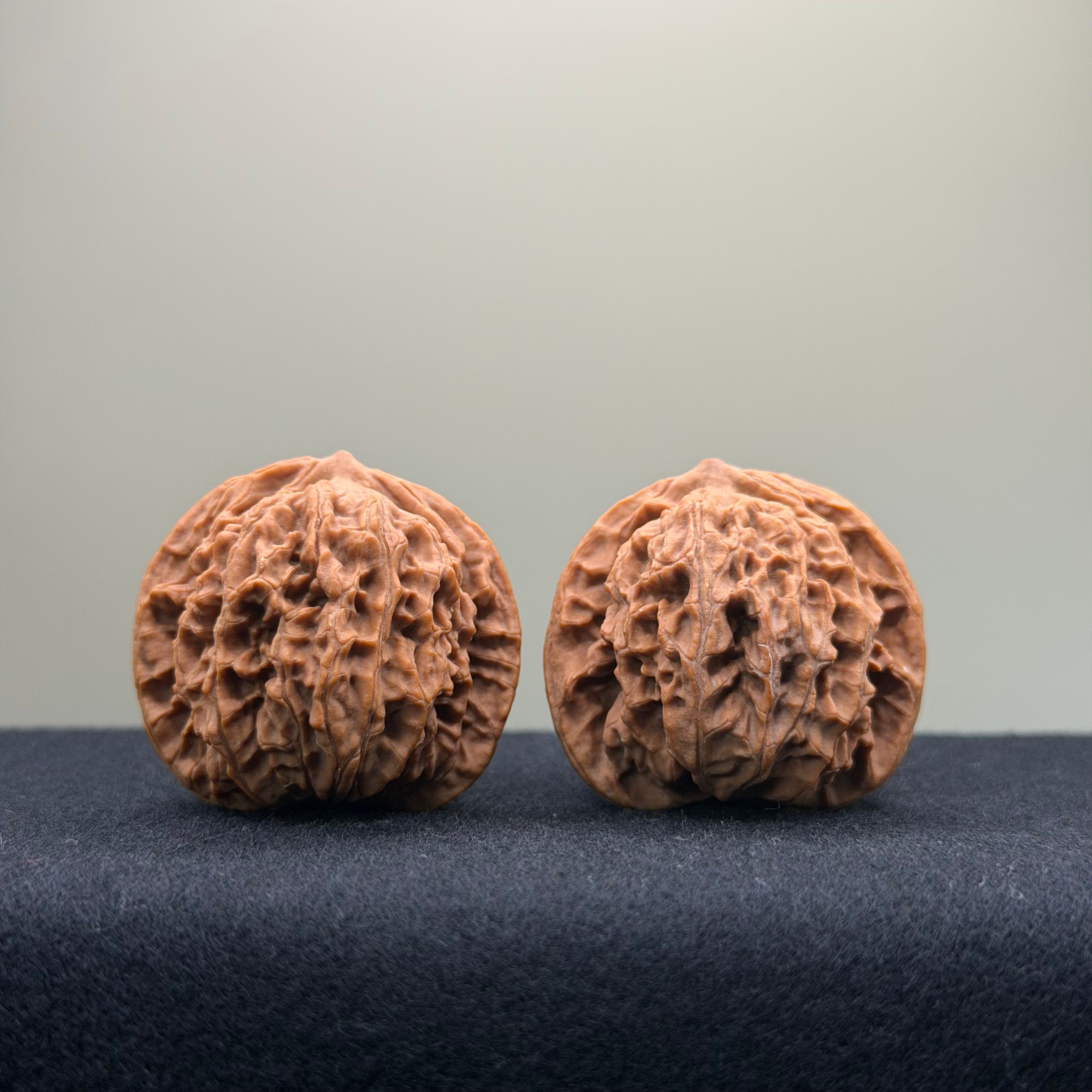 Coiled Dragon Pattern Wenwan Walnut · 37mm · Natural · Entry Ritual