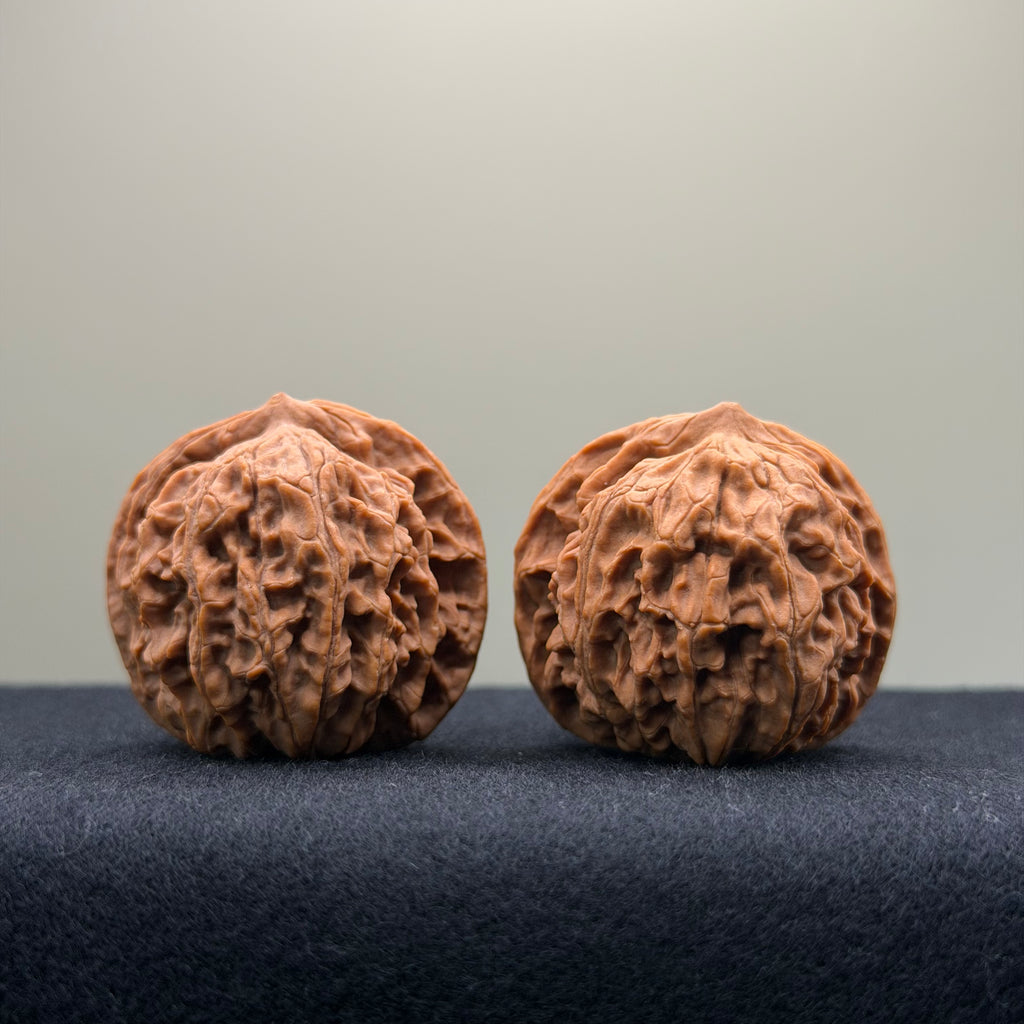 Coiled Dragon Pattern Wenwan Walnut · 37mm · Natural · Entry Ritual