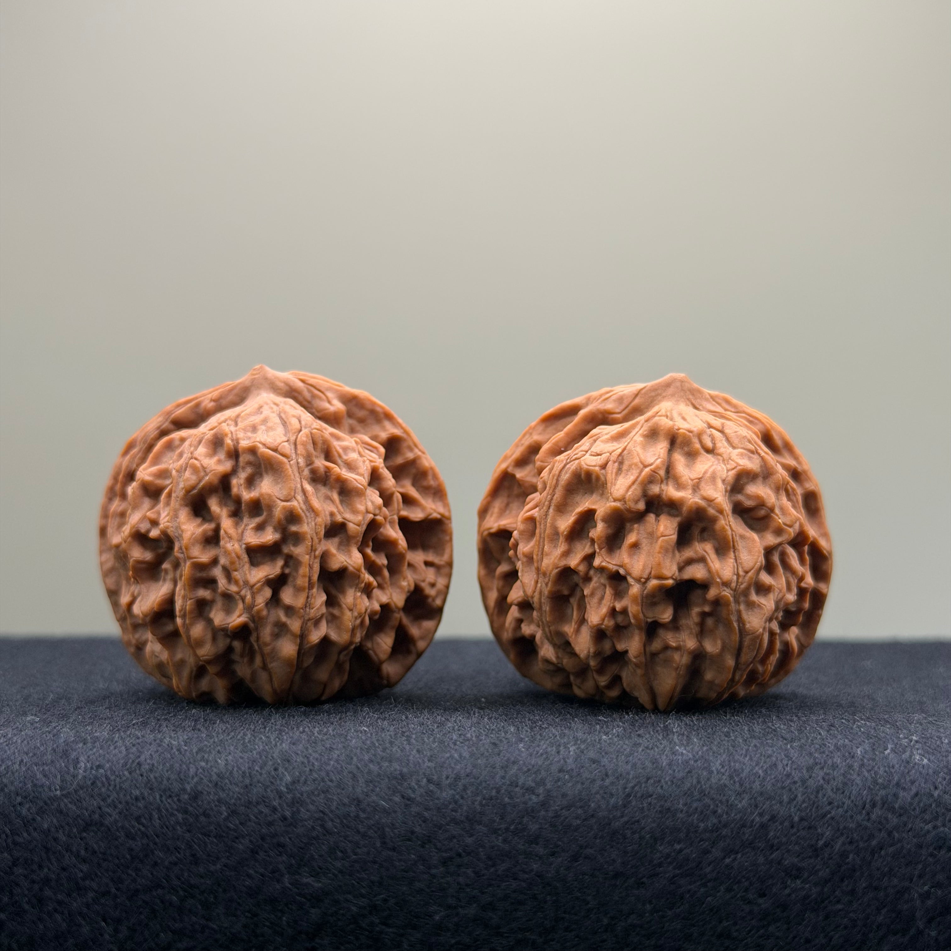 Coiled Dragon Pattern Wenwan Walnut · 37mm · Natural · Entry Ritual