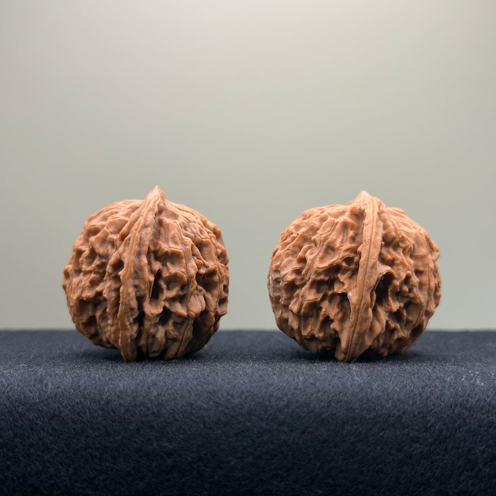 Coiled Dragon Pattern Wenwan Walnut · 37mm · Natural · Entry Ritual