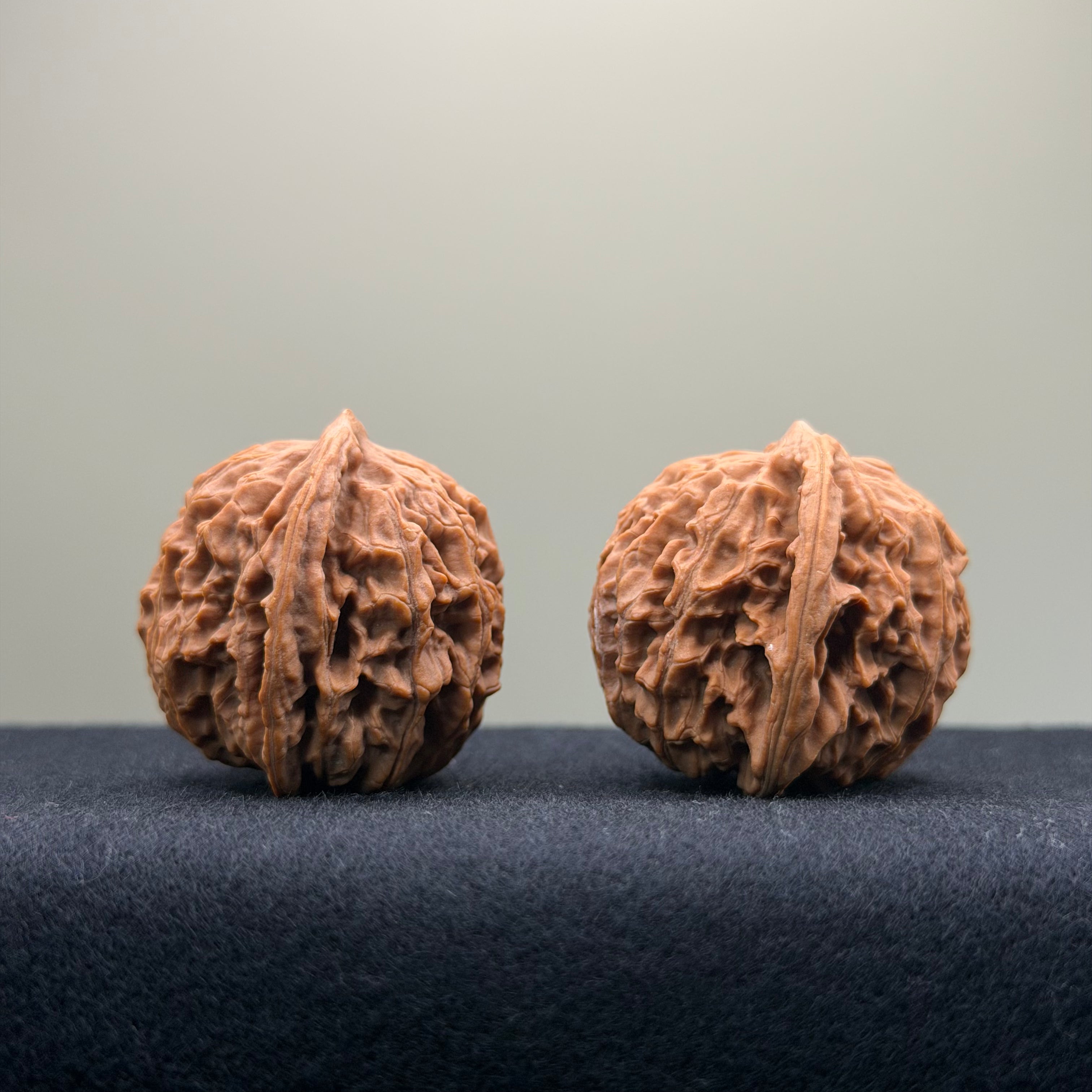 Coiled Dragon Pattern Wenwan Walnut · 37mm · Natural · Entry Ritual