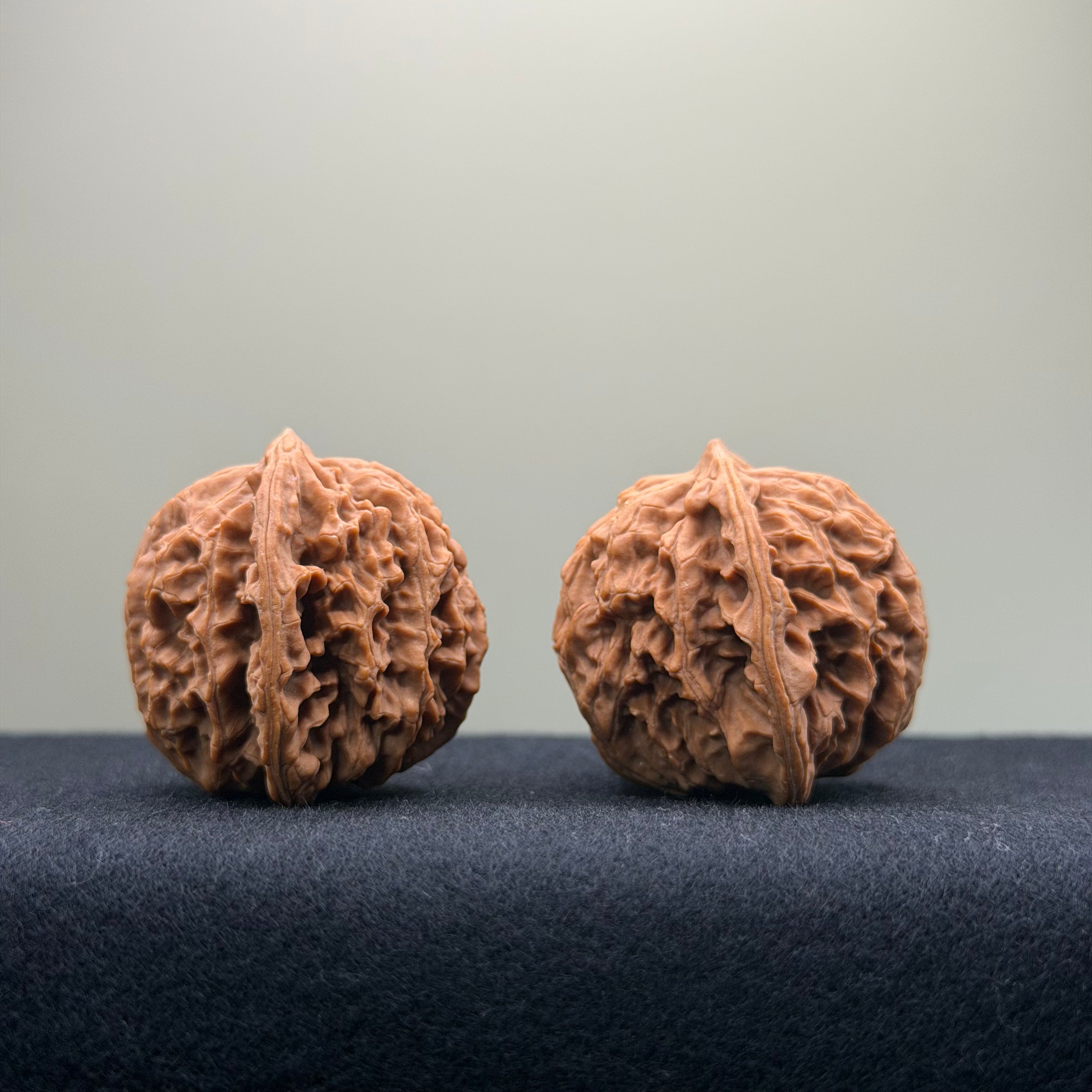 Coiled Dragon Pattern Wenwan Walnut · 37mm · Natural · Entry Ritual