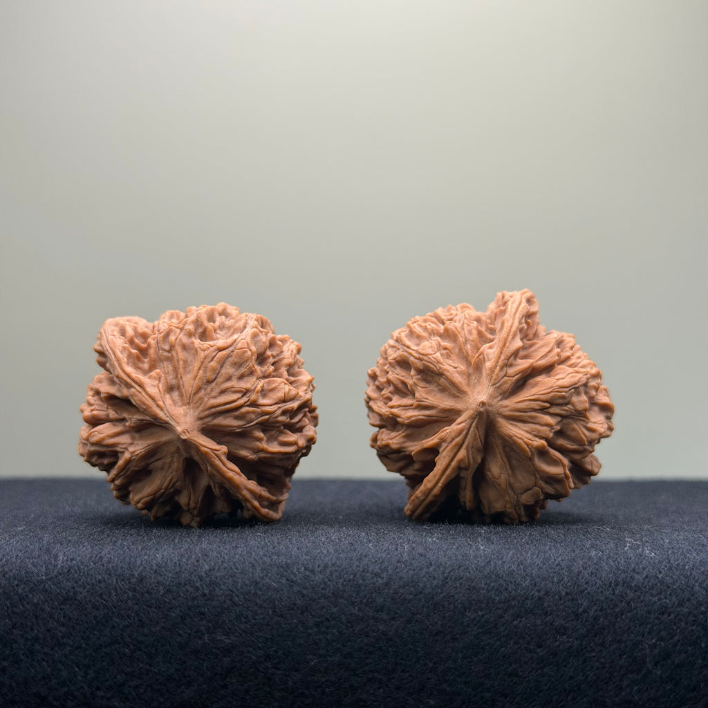 Coiled Dragon Pattern Wenwan Walnut · 37mm · Natural · Entry Ritual