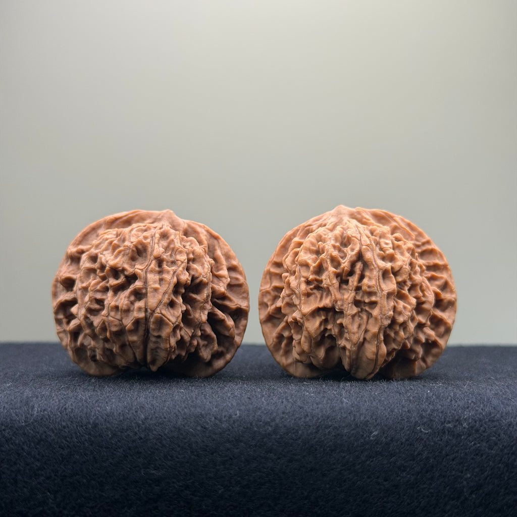 Coiled Dragon Pattern Wenwan Walnut · 39mm · Natural · Entry Ritual