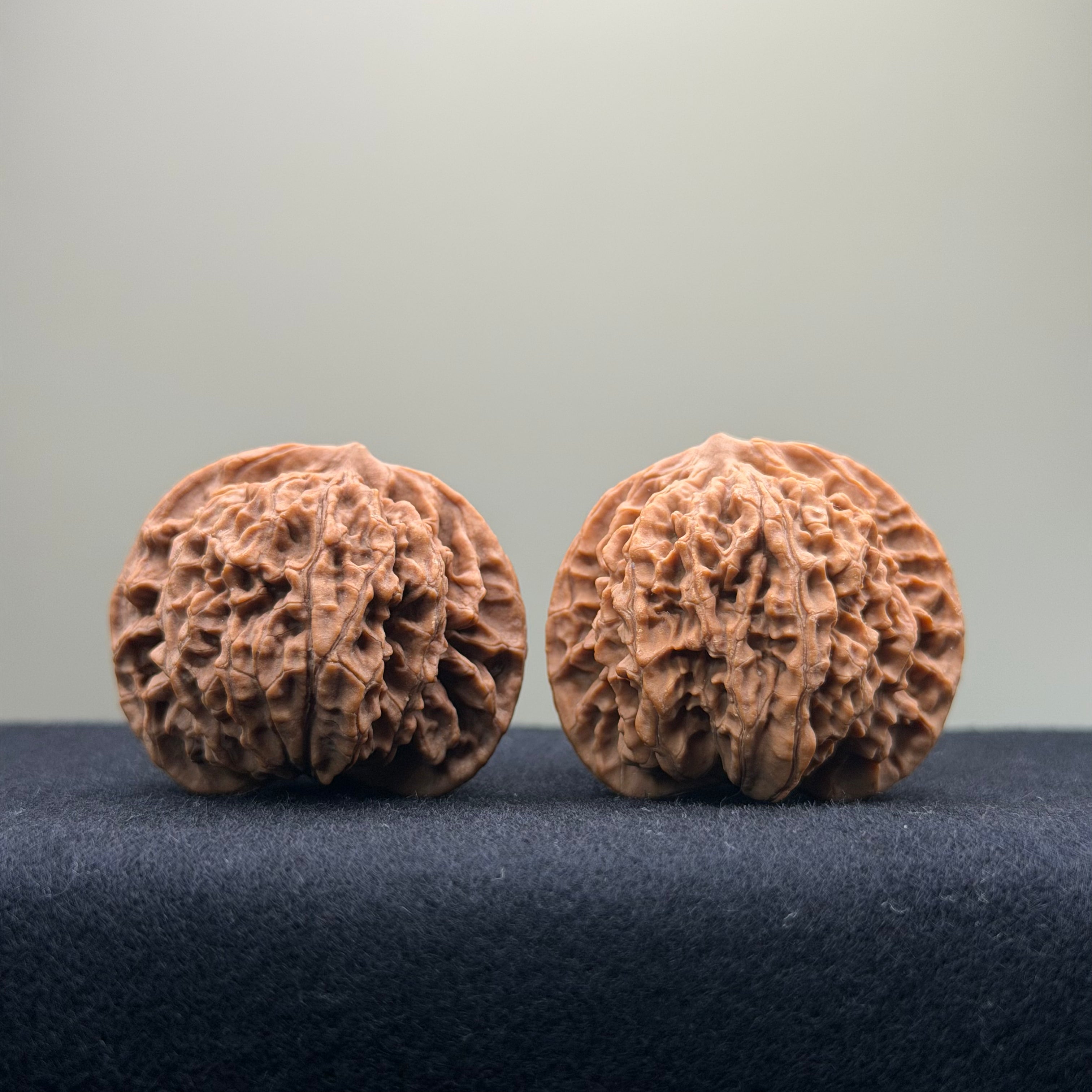 Coiled Dragon Pattern Wenwan Walnut · 39mm · Natural · Entry Ritual