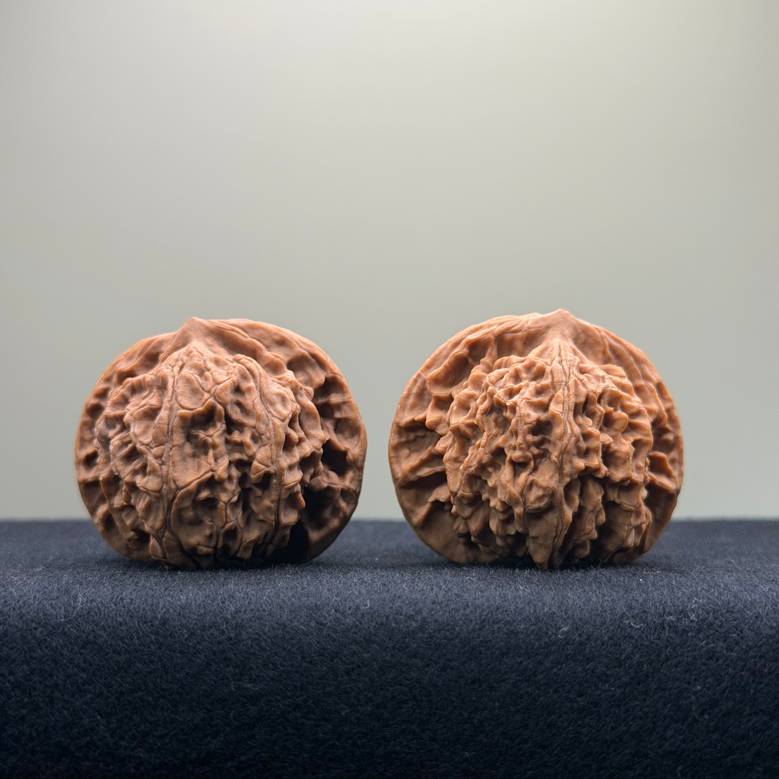 Coiled Dragon Pattern Wenwan Walnut · 39mm · Natural · Entry Ritual