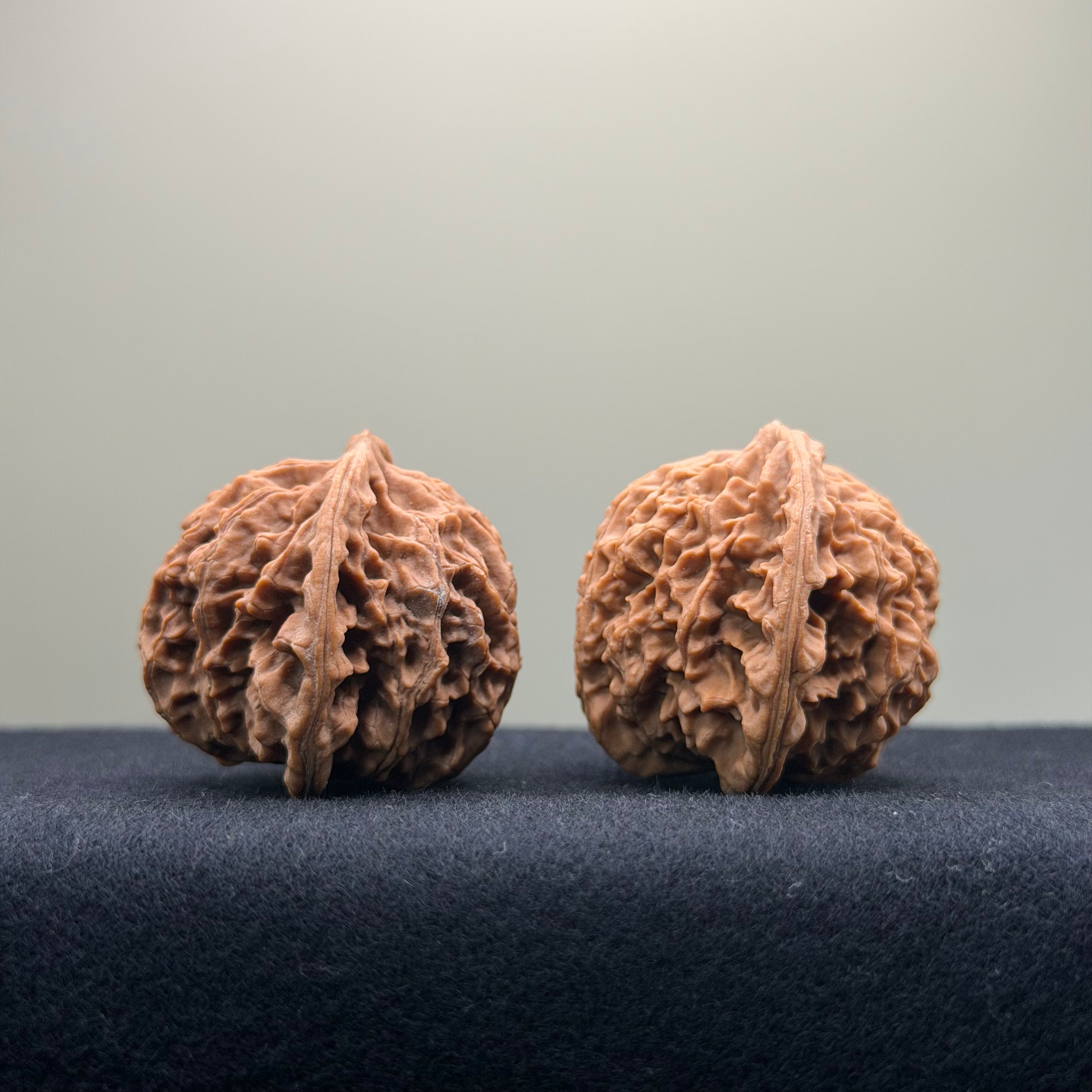 Coiled Dragon Pattern Wenwan Walnut · 39mm · Natural · Entry Ritual