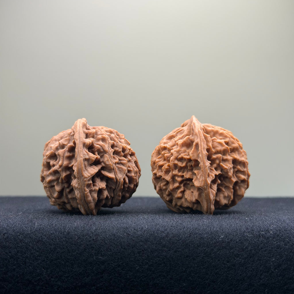 Coiled Dragon Pattern Wenwan Walnut · 39mm · Natural · Entry Ritual
