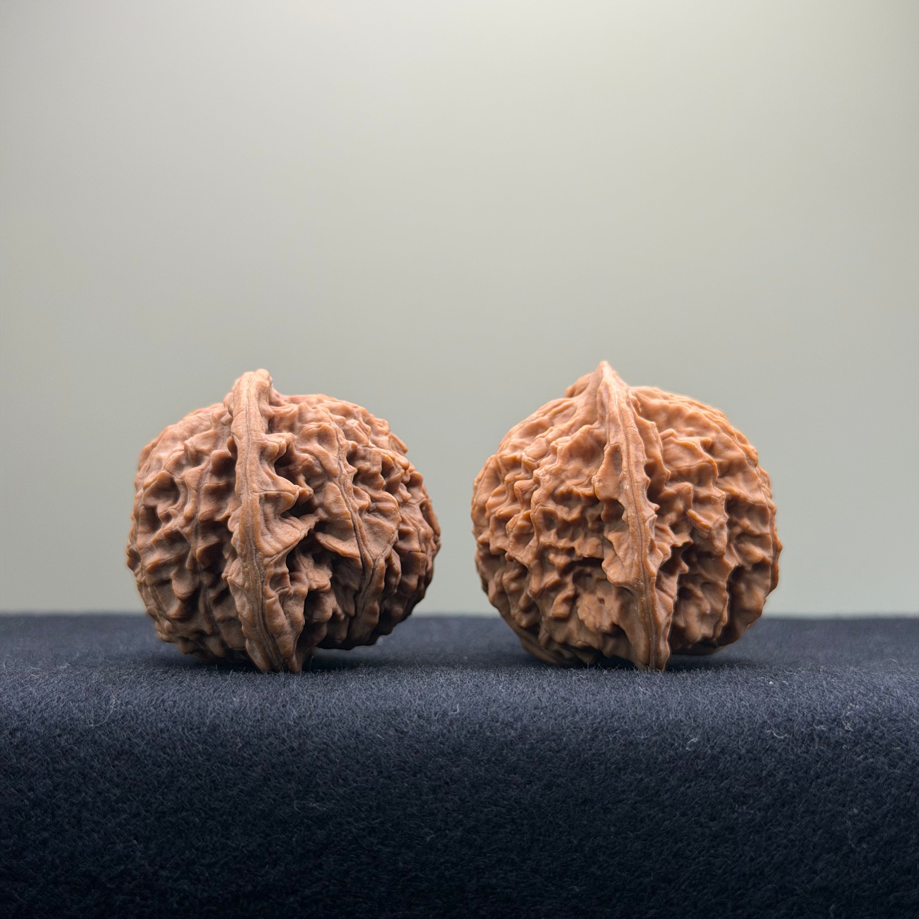 Coiled Dragon Pattern Wenwan Walnut · 39mm · Natural · Entry Ritual