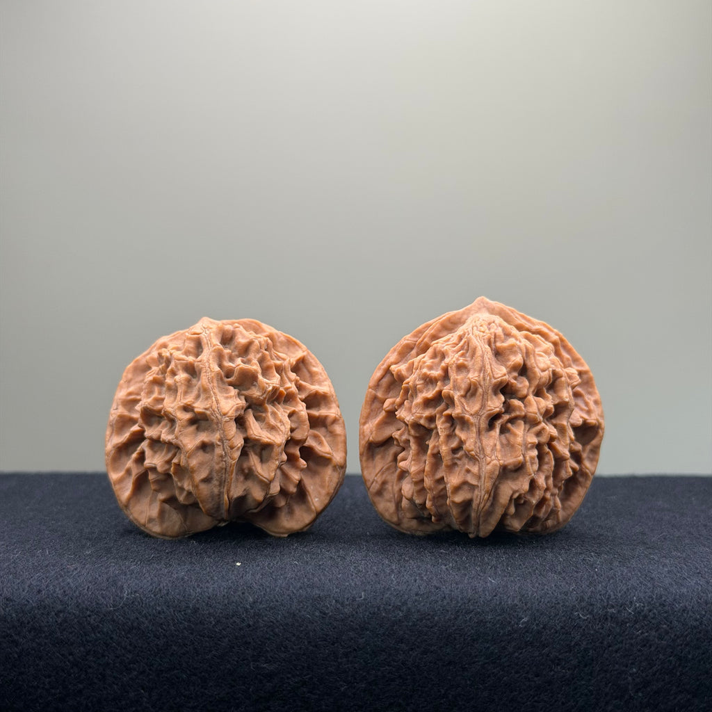 Coiled Dragon Pattern Wenwan Walnut · 39mm · Natural · Entry Ritual