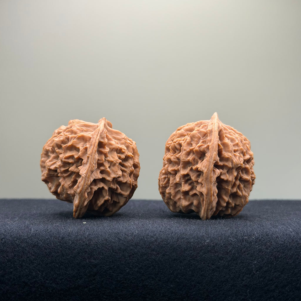 Coiled Dragon Pattern Wenwan Walnut · 39mm · Natural · Entry Ritual