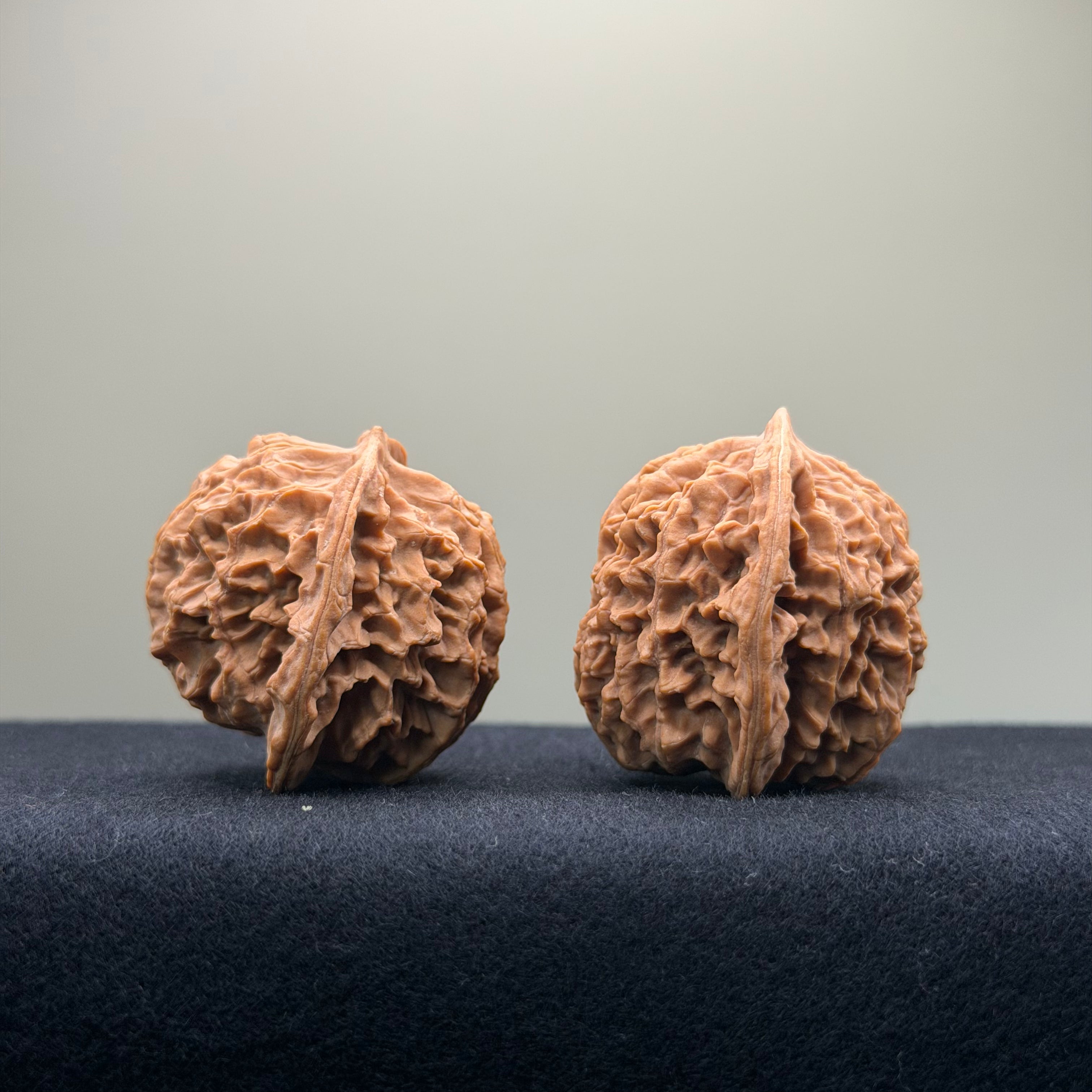 Coiled Dragon Pattern Wenwan Walnut · 39mm · Natural · Entry Ritual