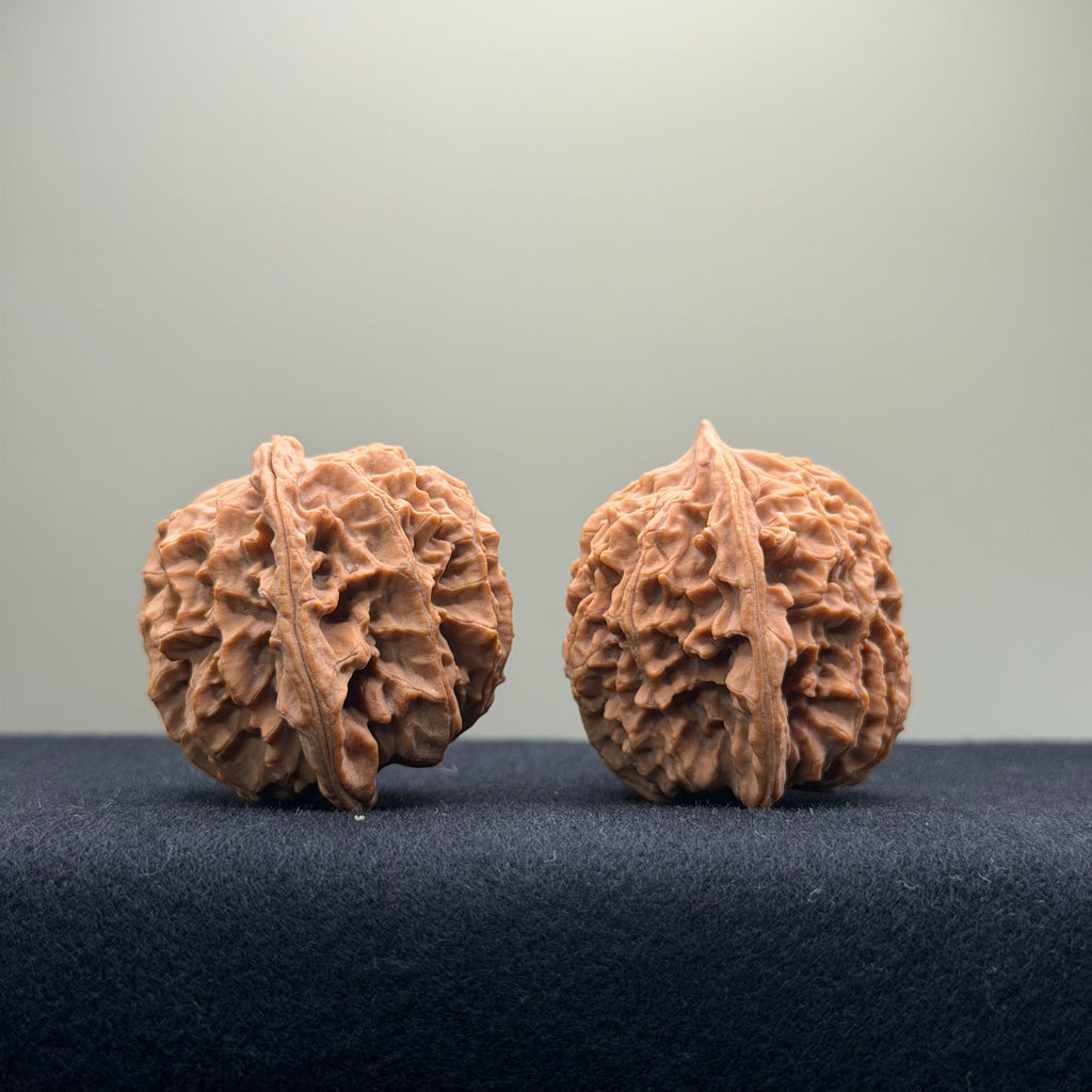 Coiled Dragon Pattern Wenwan Walnut · 39mm · Natural · Entry Ritual