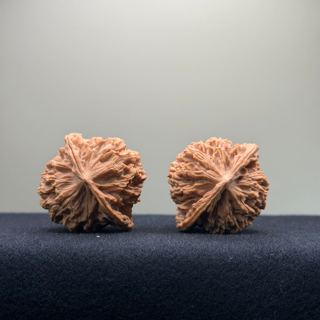 Coiled Dragon Pattern Wenwan Walnut · 39mm · Natural · Entry Ritual