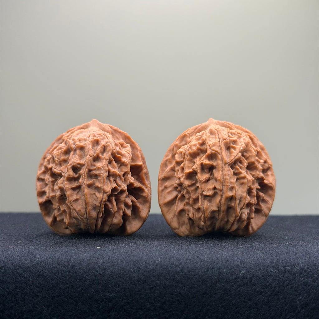 Coiled Dragon Pattern Wenwan Walnut · 37mm · Natural · Entry Ritual