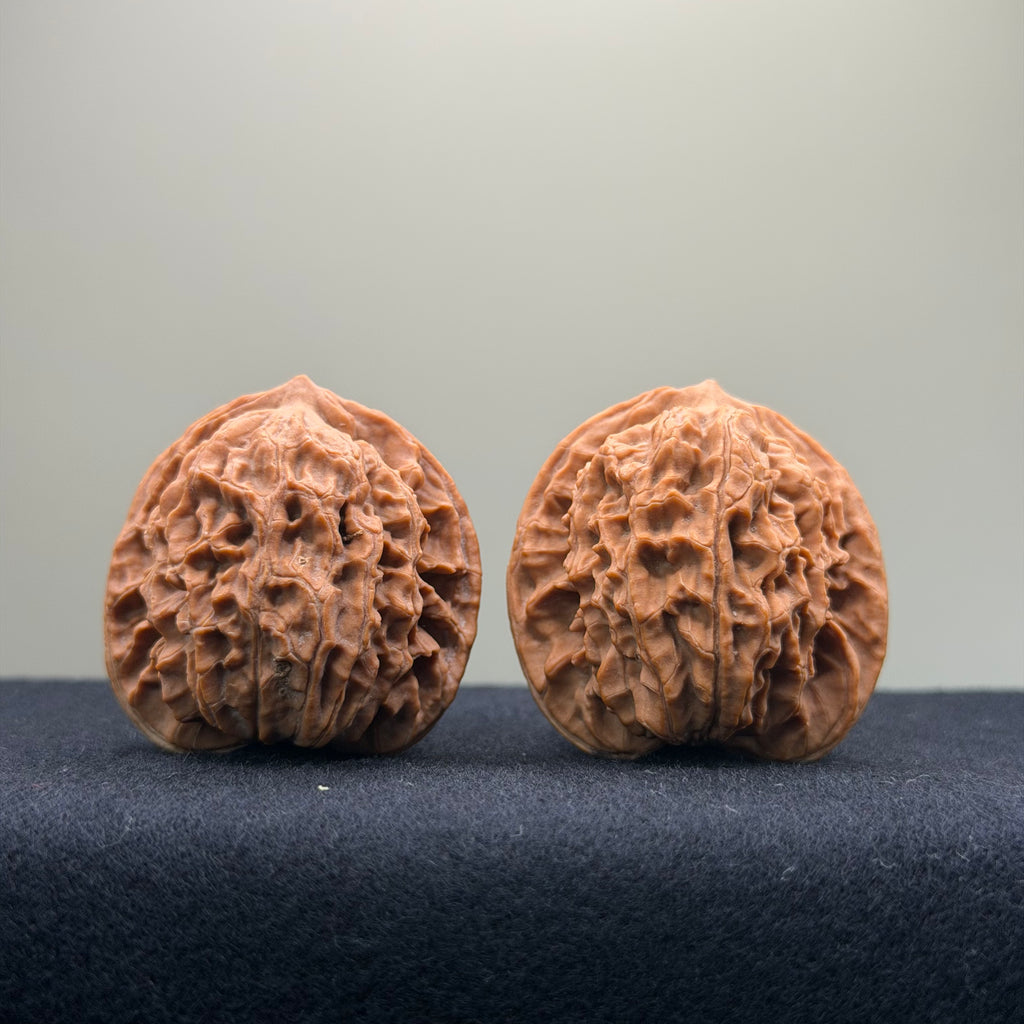 Coiled Dragon Pattern Wenwan Walnut · 37mm · Natural · Entry Ritual