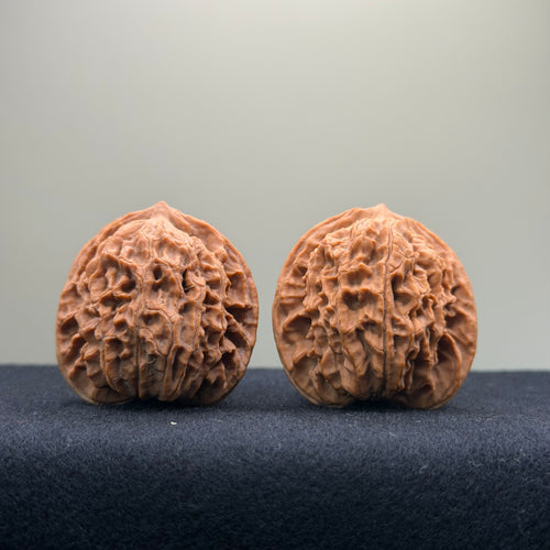 Coiled Dragon Pattern Wenwan Walnut · 37mm · Natural · Entry Ritual