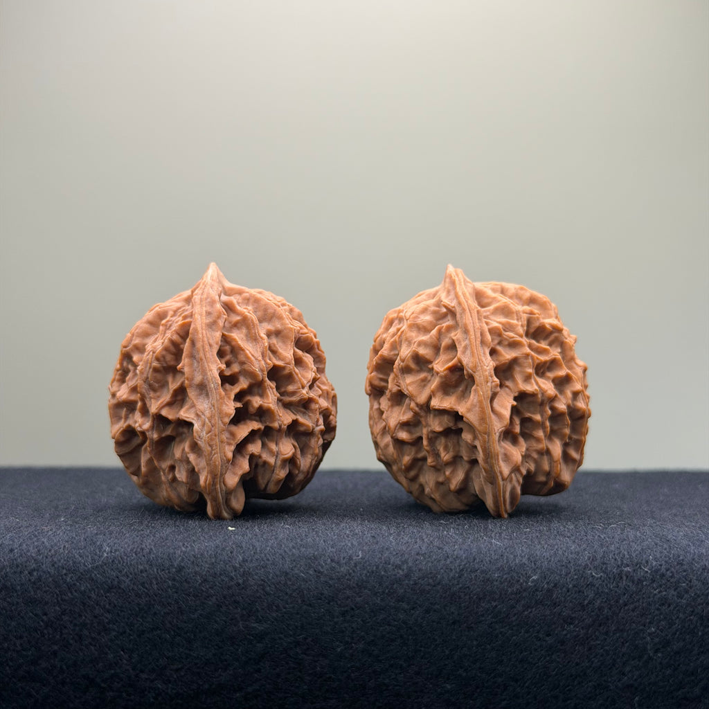 Coiled Dragon Pattern Wenwan Walnut · 37mm · Natural · Entry Ritual