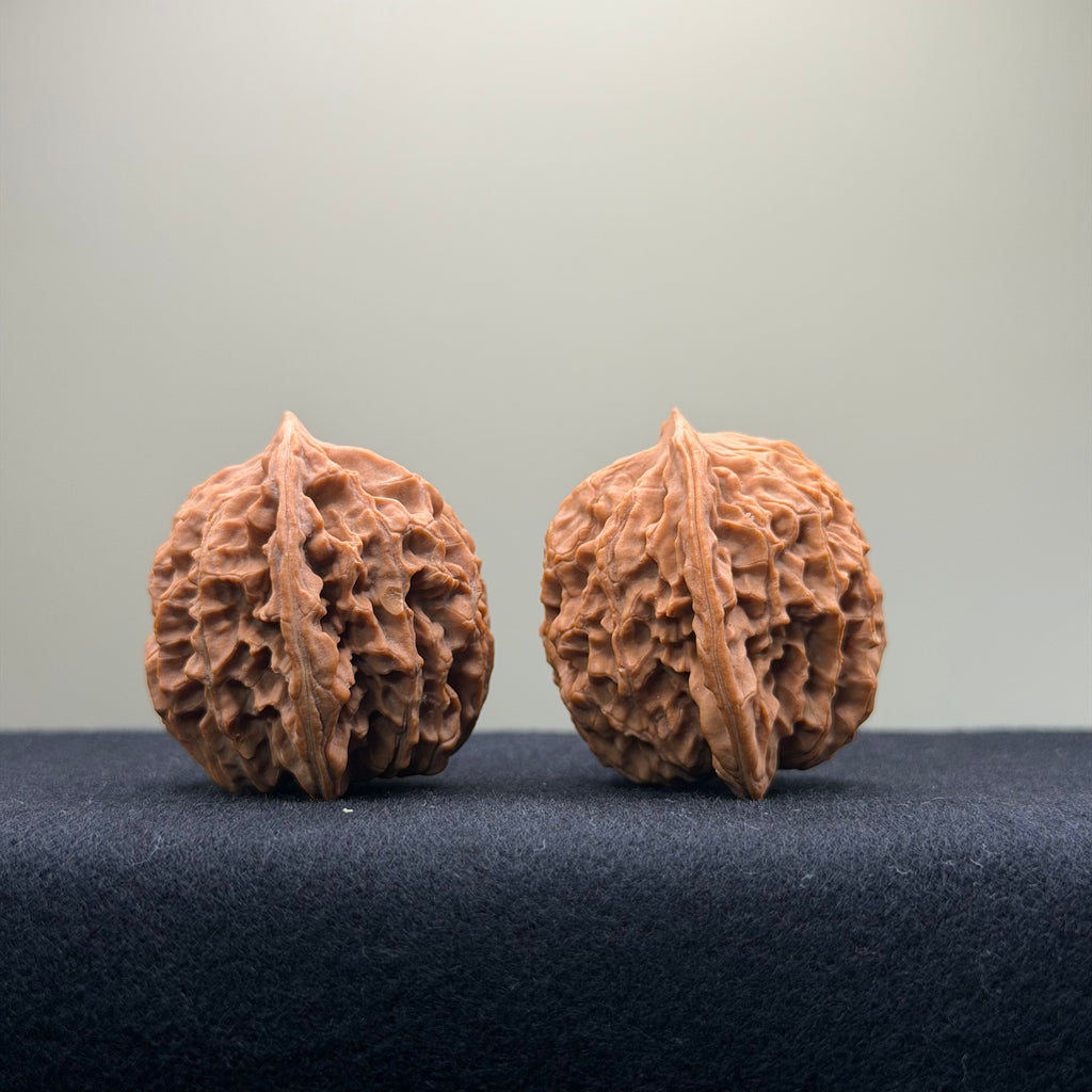 Coiled Dragon Pattern Wenwan Walnut · 37mm · Natural · Entry Ritual