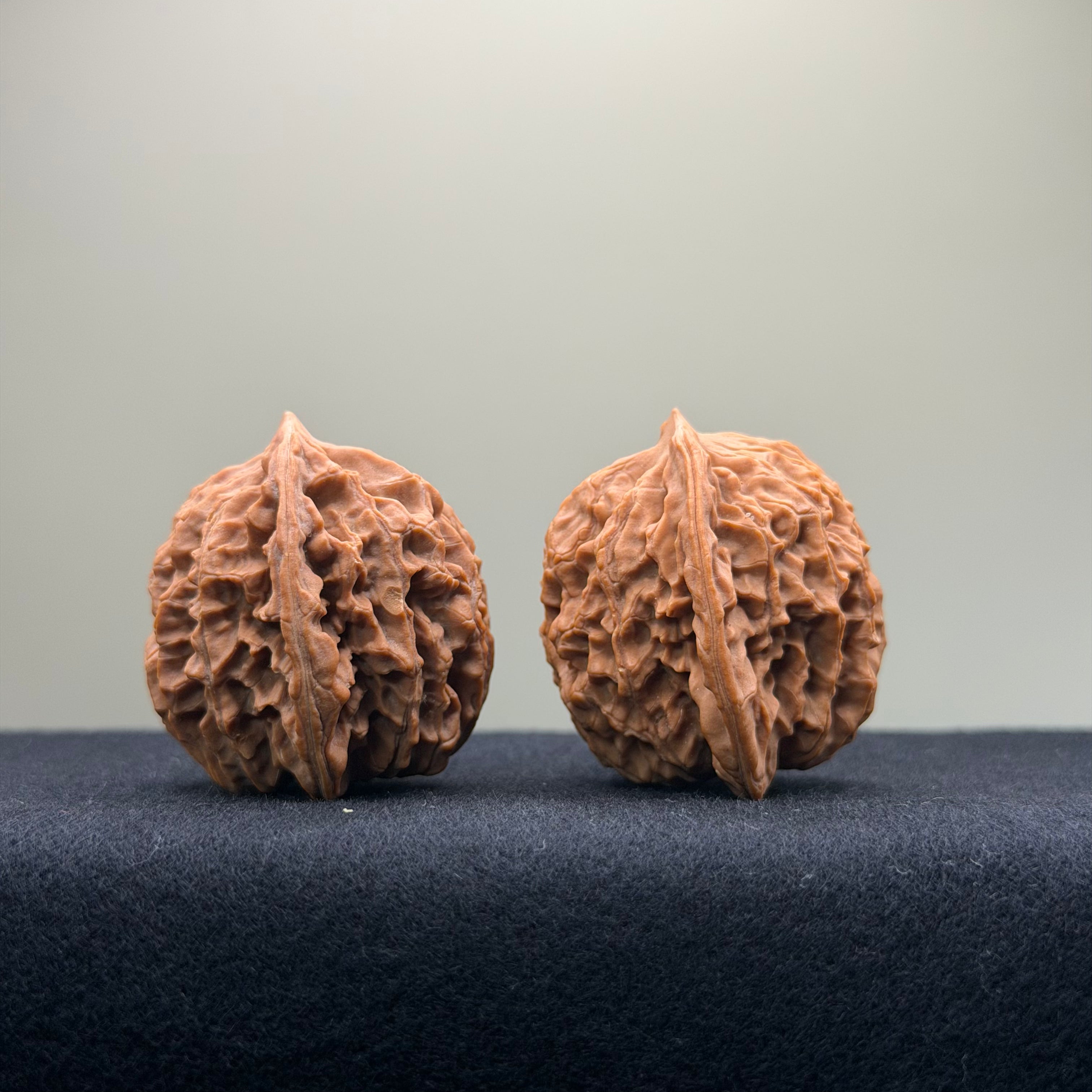 Coiled Dragon Pattern Wenwan Walnut · 37mm · Natural · Entry Ritual