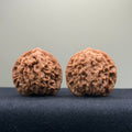 Coiled Dragon Pattern Wenwan Walnut · 37mm · Natural · Entry Ritual