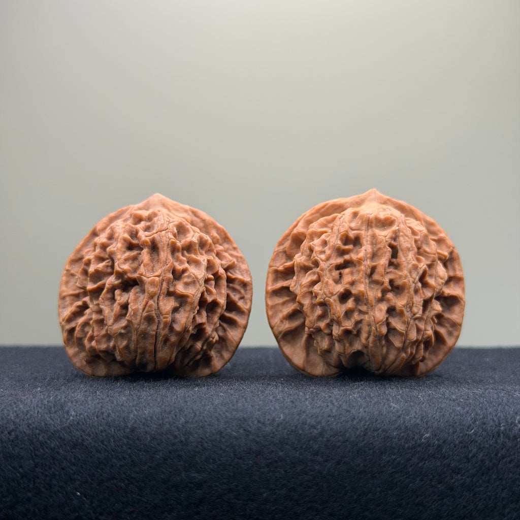 Coiled Dragon Pattern Wenwan Walnut · 37mm · Natural · Entry Ritual