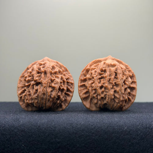 Coiled Dragon Pattern Wenwan Walnut · 37mm · Natural · Entry Ritual
