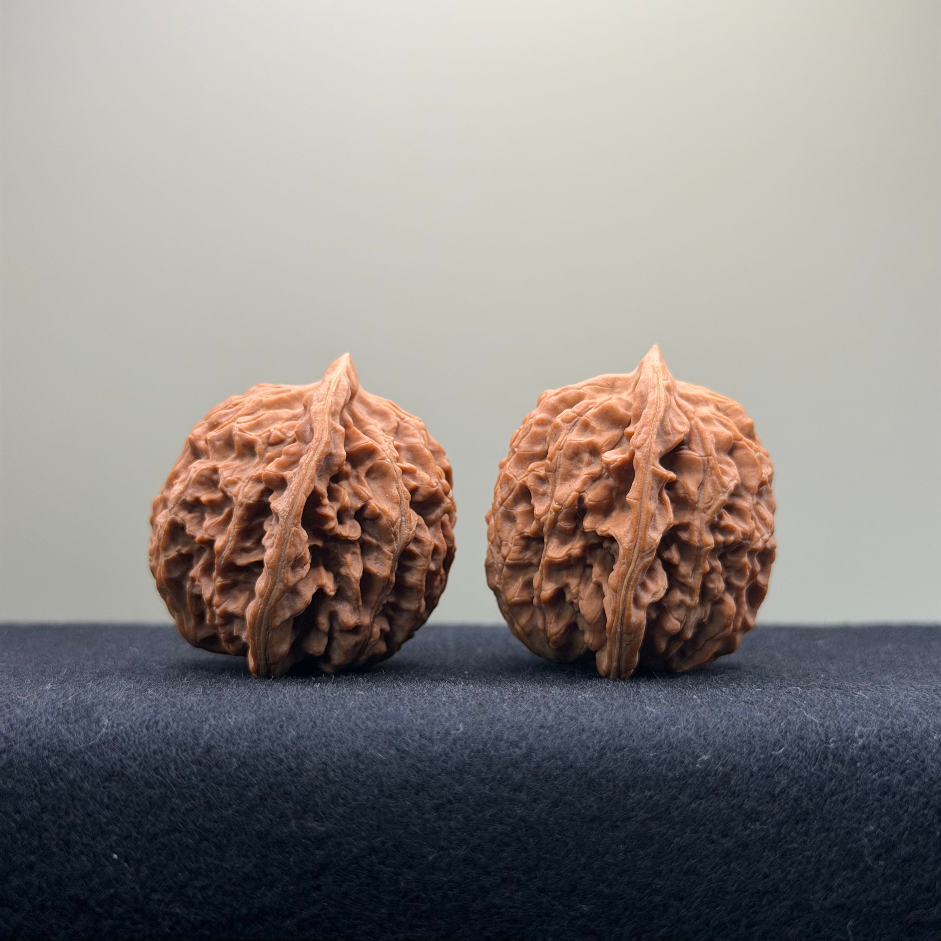 Coiled Dragon Pattern Wenwan Walnut · 37mm · Natural · Entry Ritual