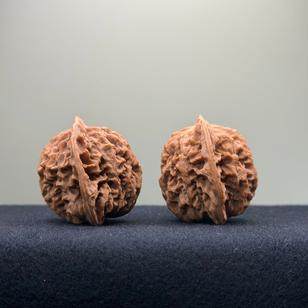 Coiled Dragon Pattern Wenwan Walnut · 37mm · Natural · Entry Ritual