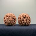 Coiled Dragon Pattern Wenwan Walnut · 39mm · Natural · Entry Ritual