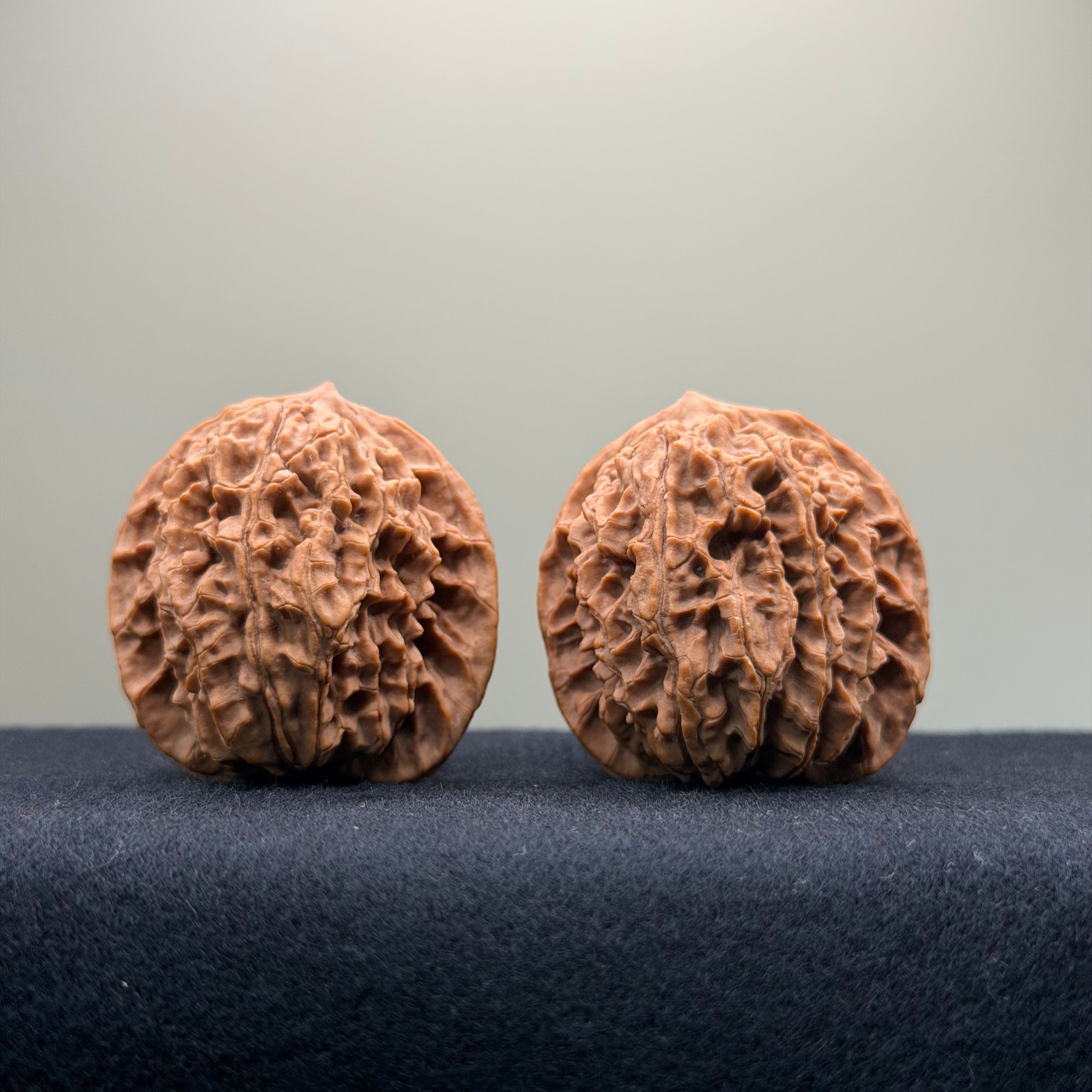 Coiled Dragon Pattern Wenwan Walnut · 39mm · Natural · Entry Ritual