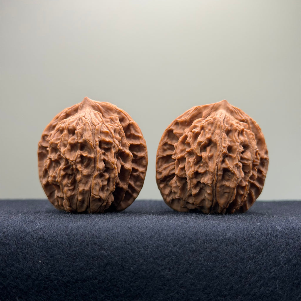 Coiled Dragon Pattern Wenwan Walnut · 39mm · Natural · Entry Ritual